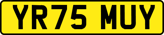 YR75MUY