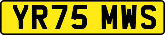 YR75MWS