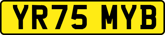 YR75MYB