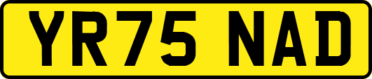 YR75NAD