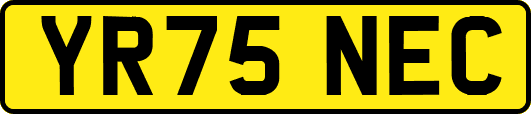 YR75NEC