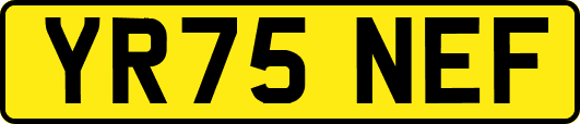 YR75NEF