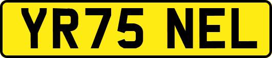 YR75NEL