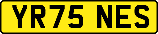 YR75NES