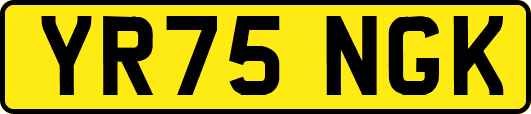 YR75NGK