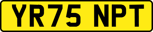 YR75NPT