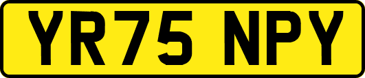YR75NPY