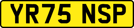 YR75NSP