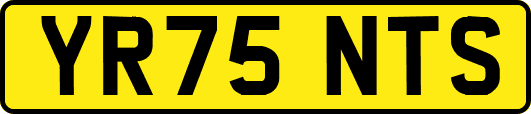 YR75NTS
