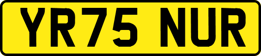 YR75NUR
