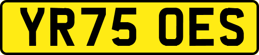 YR75OES
