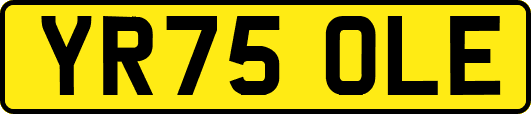 YR75OLE