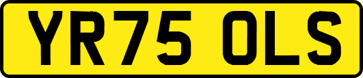 YR75OLS