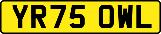 YR75OWL