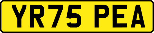 YR75PEA