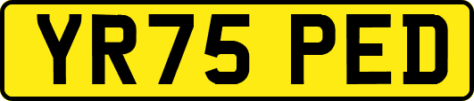YR75PED