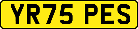 YR75PES
