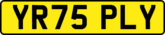 YR75PLY