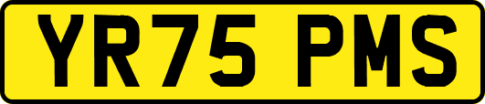YR75PMS
