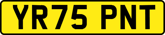 YR75PNT