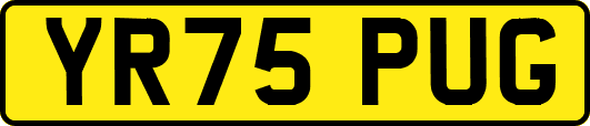 YR75PUG