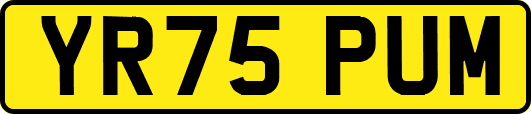 YR75PUM
