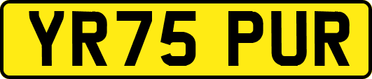 YR75PUR