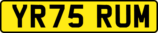 YR75RUM