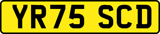 YR75SCD