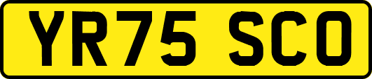 YR75SCO