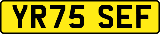 YR75SEF