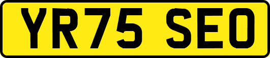 YR75SEO