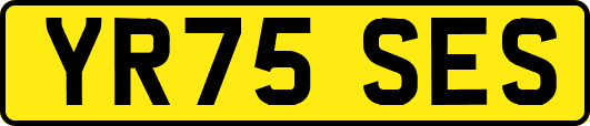 YR75SES