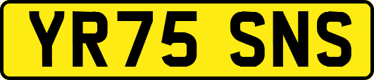 YR75SNS