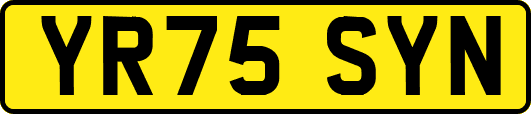 YR75SYN