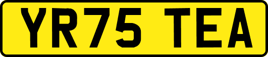 YR75TEA