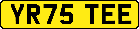 YR75TEE