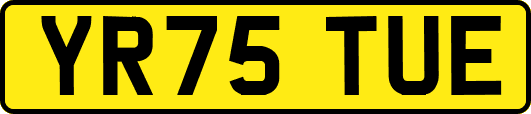 YR75TUE