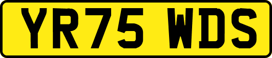 YR75WDS