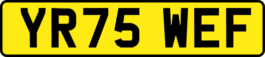 YR75WEF