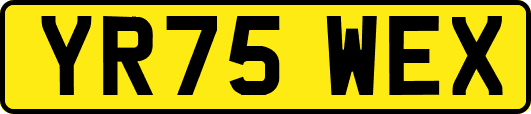 YR75WEX
