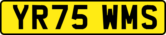 YR75WMS