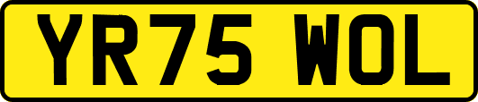 YR75WOL
