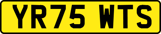 YR75WTS
