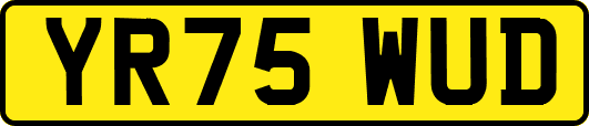 YR75WUD
