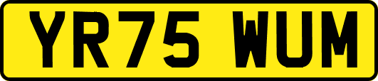 YR75WUM