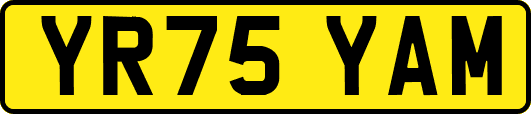 YR75YAM
