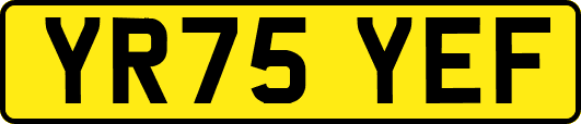 YR75YEF