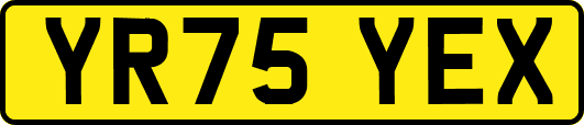 YR75YEX