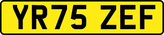 YR75ZEF